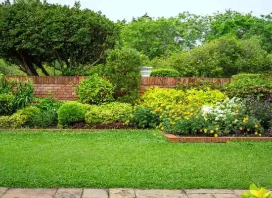 landscaping services Biltmore Forest